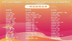 有竞技有技巧 少数民族传统体育运动会表演项目获奖情况一览！