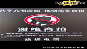 多景区叫停“商拍”！网友：终于能好好看个景儿了……