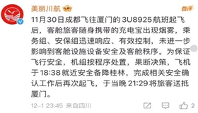 充电宝冒烟致航班备降， 为何充电宝能“上飞机”却不能使用？