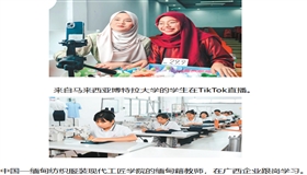 汉语作帆传文化 技能为翼育巧匠