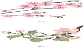 二十四节气二十四问