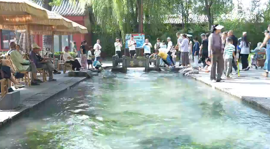 济南墨泉再现“色如浓墨 声如隐雷 一泉成河”景观 第 2 张