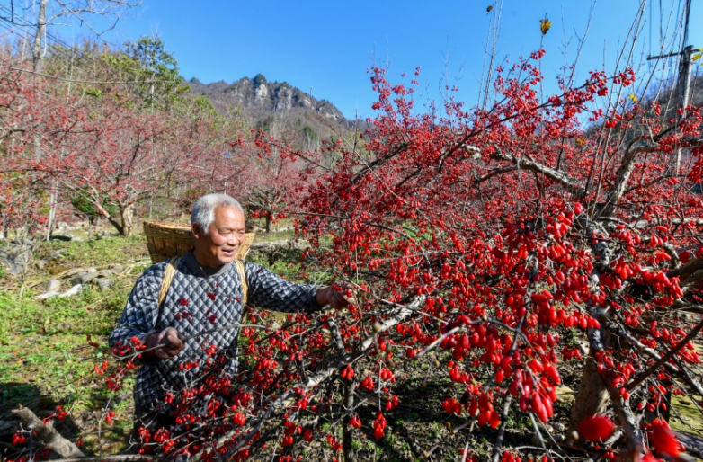 河南中医药，真“中”！ 第 2 张