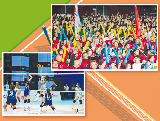 一边看“豫排” 一边赶“大集” 一边看“豫排” 一边赶“大集”