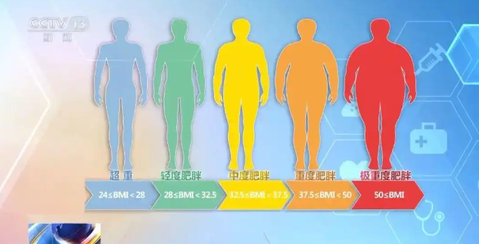 国家版减肥指南来了！权威食谱，细化到地区 第 1 张