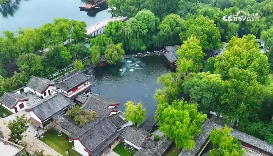 济南墨泉再现“色如浓墨 声如隐雷 一泉成河”景观 第 1 张