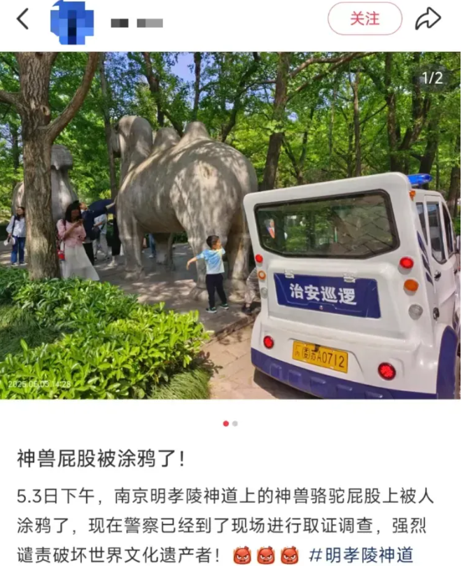游客“作妖”行为：有人砸天鹅，有人刻字……景区“黑名单”该出手了！ 第 2 张