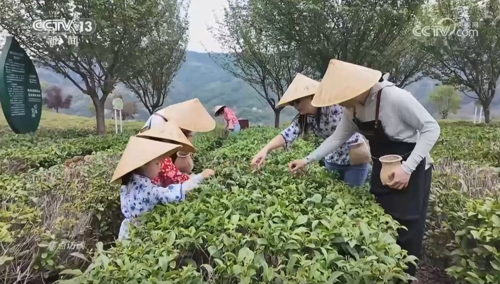 从“活起来”到“火起来” 非遗如何成为各地文旅新名片 第 3 张
