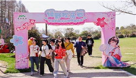 浪漫樱花邂逅二次元，甬城春日掀起新风潮