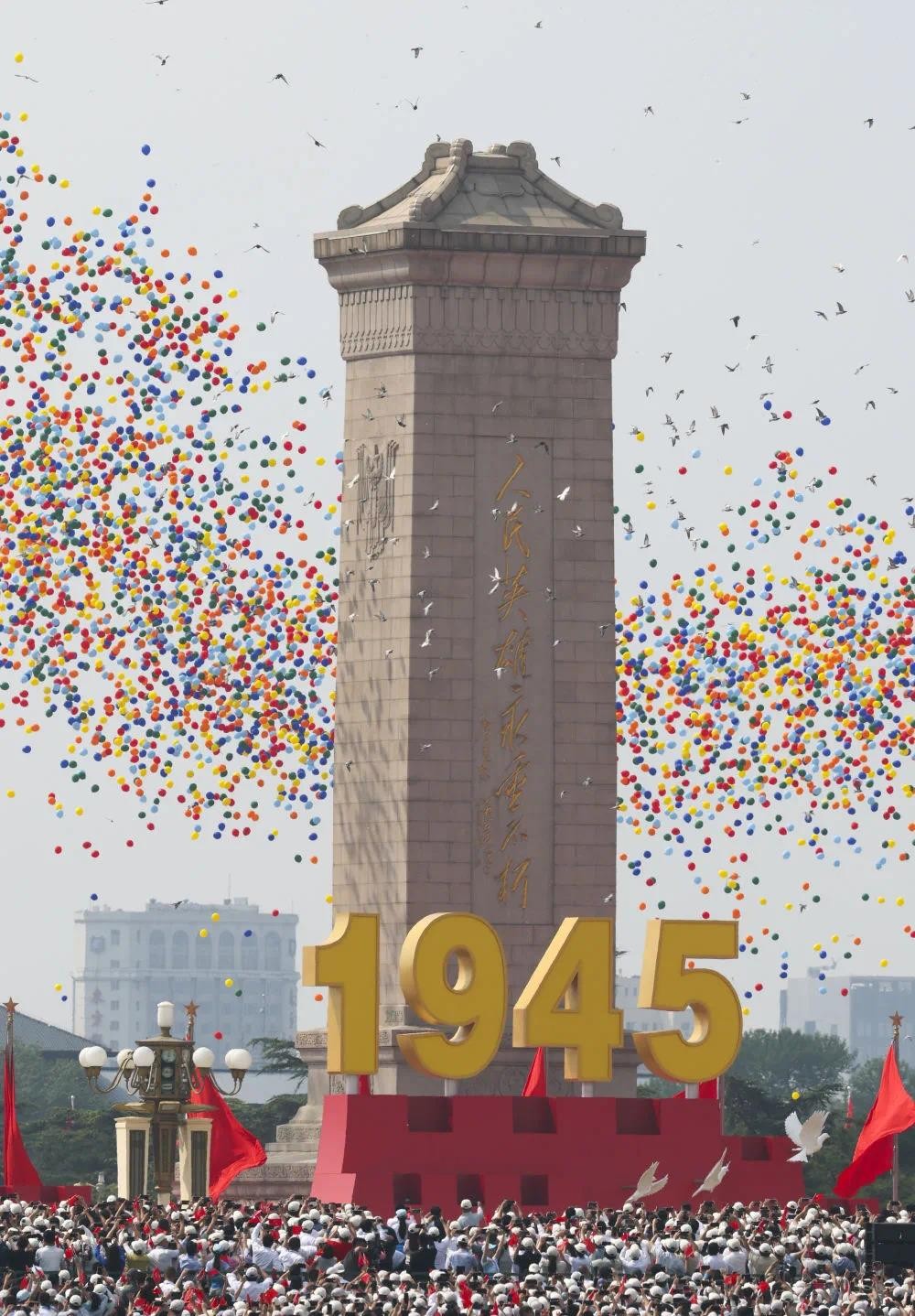 8万羽和平鸽是如何找到家的？遇到疑似“迷路鸽”该怎么办？一文了解 第 1 张