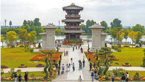 花开傲霜枝 菊色满晋阳