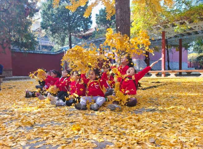 重见“齐鲁青未了” 山东泰山交出亮眼“绿色成绩单” 第 3 张 重见“齐鲁青未了” 山东泰山交出亮眼“绿色成绩单” 第 3 张