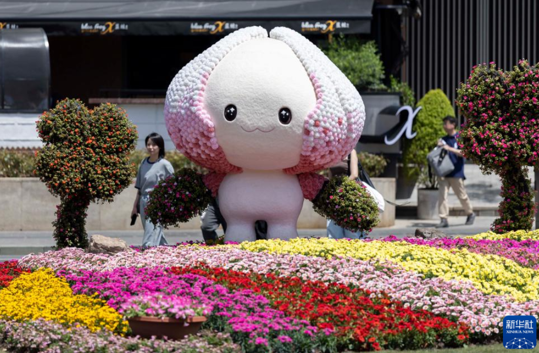 2025上海国际花展开幕 第 1 张