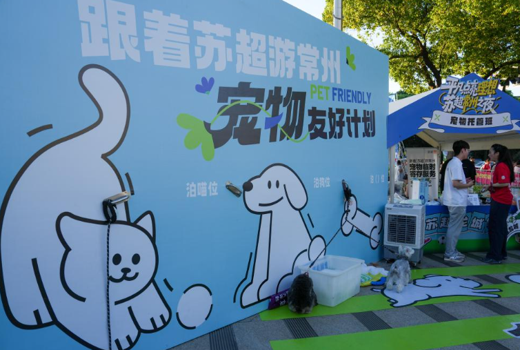 “苏超”爆火：始于足球，成于文化 第 7 张