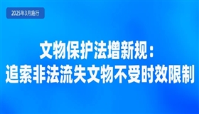 新修订的文物保护法施行，带来哪些变化？