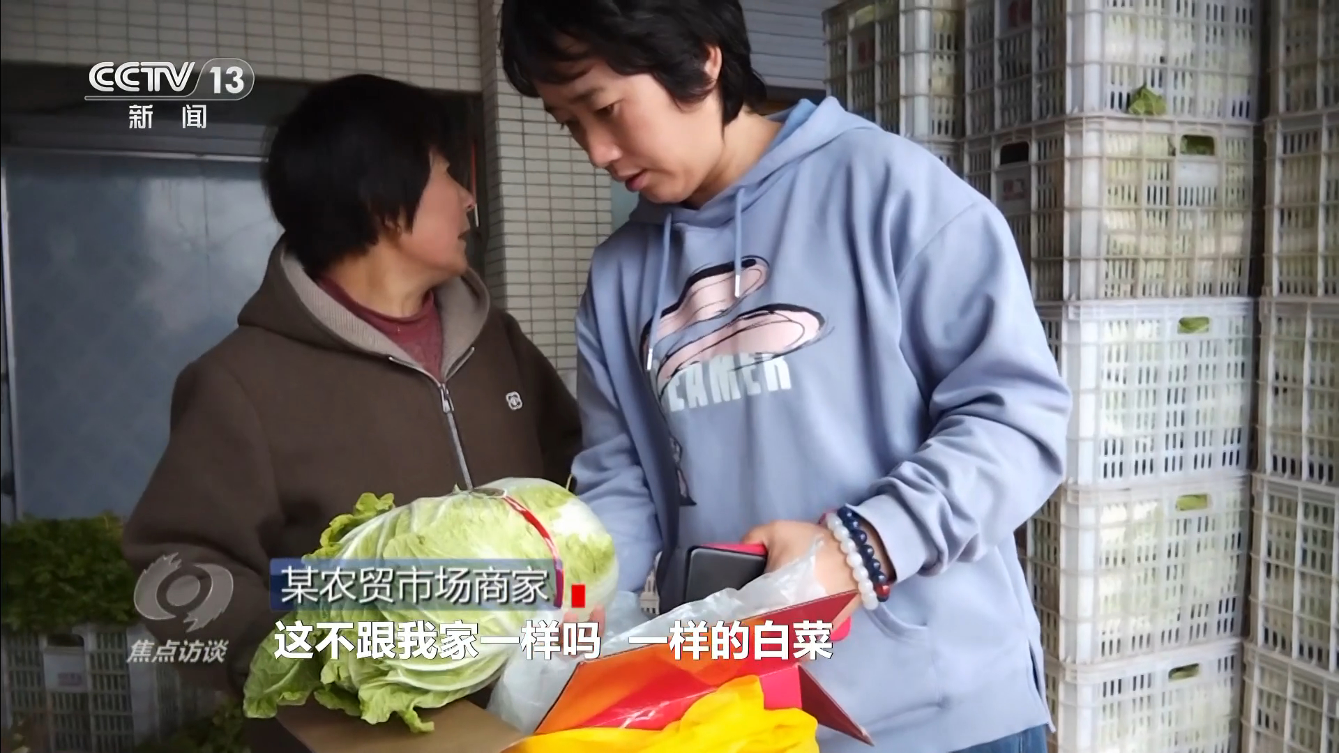 从“胶州大白菜”看地理标志保护,这些坑千万别踩! 第 6 张 从“胶州大白菜”看地理标志保护,这些坑千万别踩! 第 6 张