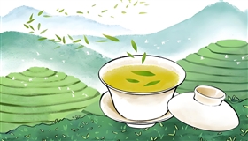 壹时评：别让古树茶炒作毁掉千年普洱底蕴