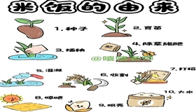 1个蒸米饭时的小改变，就能帮全家平稳血脂、血糖！