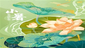 在小暑寻找小暑