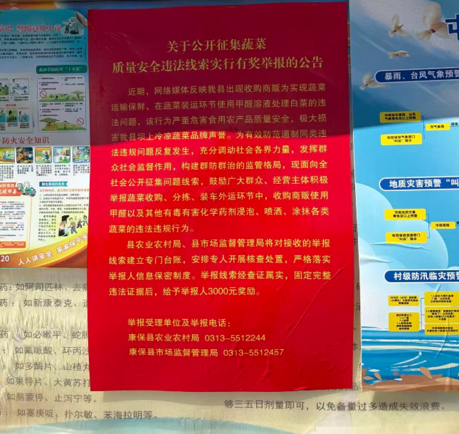 “甲醛白菜”风波之后,如何让一棵白菜安全地走上餐桌? 第 7 张 “甲醛白菜”风波之后,如何让一棵白菜安全地走上餐桌? 第 7 张