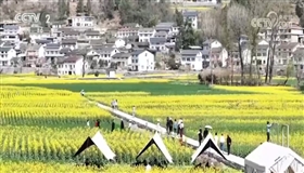 春日花海成为“增收田” 以花为“媒”引客来助力乡村产业发展