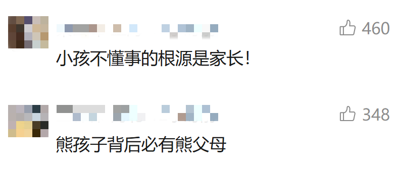 博物馆珍贵标本被当成玩具？若家长不守规则，何谈言传身教 第 5 张