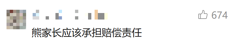 博物馆珍贵标本被当成玩具？若家长不守规则，何谈言传身教 第 6 张