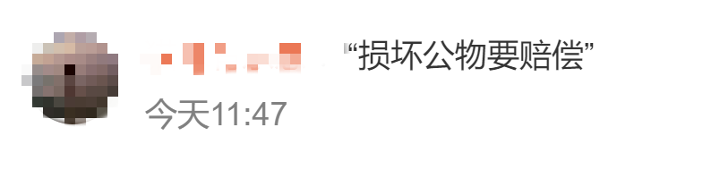 博物馆珍贵标本被当成玩具？若家长不守规则，何谈言传身教 第 12 张