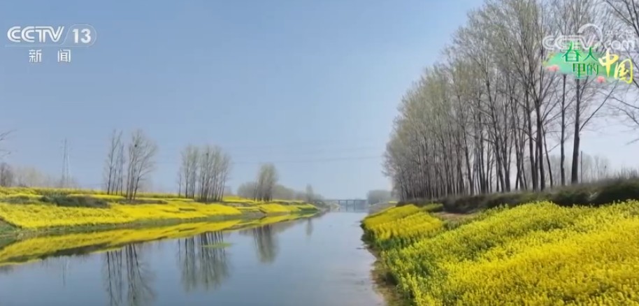 从“种田地”到“种风景” “花样经济”新业态奏响乡村振兴“春日曲” 第 2 张