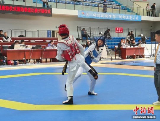 山西省十七运跆拳道比赛落幕 37枚金牌各归其主 第 1 张
