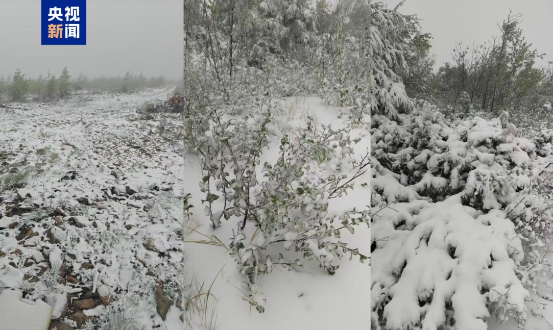 一觉醒来“穿越”入冬 黑龙江大兴安岭现“六月飘雪” 一觉醒来“穿越”入冬 黑龙江大兴安岭现“六月飘雪”