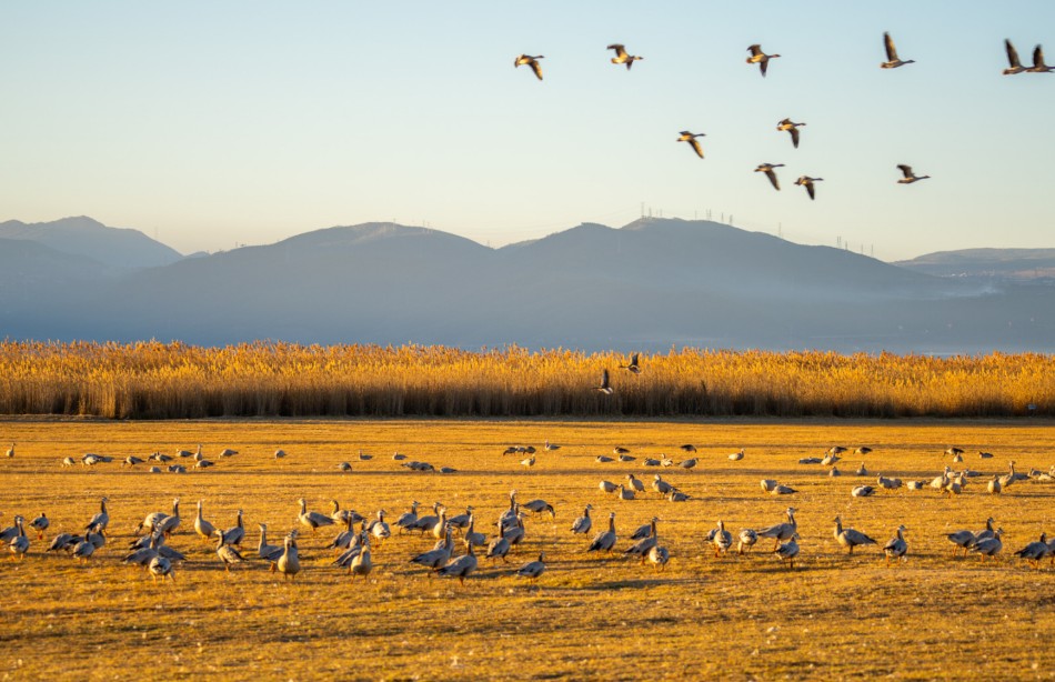 村舍蝶变 玉龙旅居进行时 第 3 张