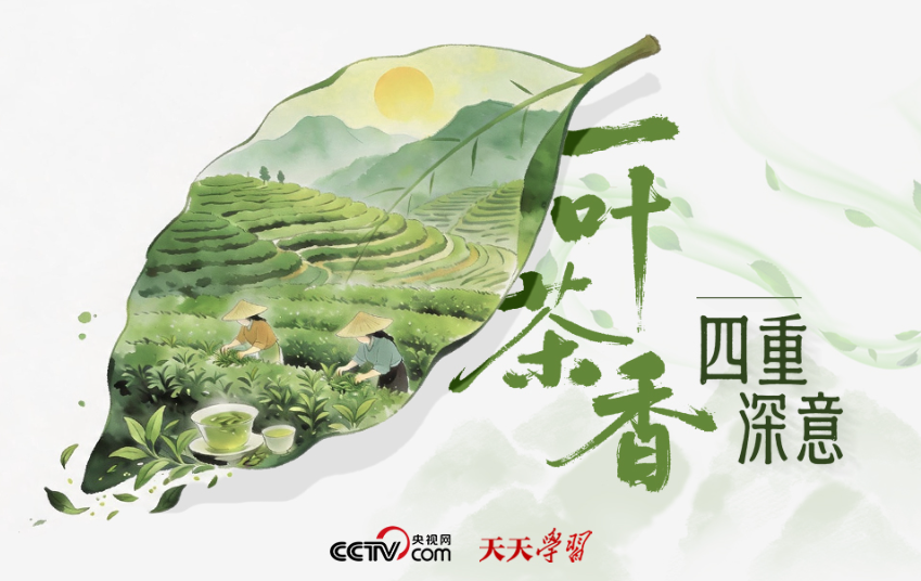 一叶茶香 四重深意
