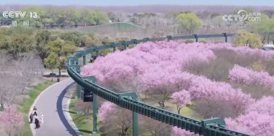 从“种田地”到“种风景” “花样经济”新业态奏响乡村振兴“春日曲” 第 3 张