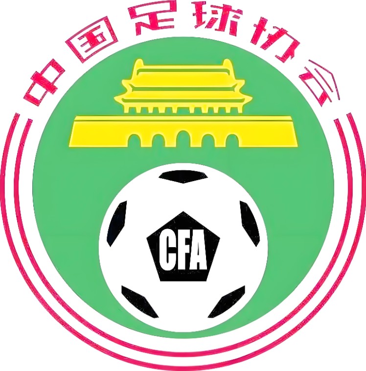 中国足协：17人被终身禁止从事任何与足球有关的活动