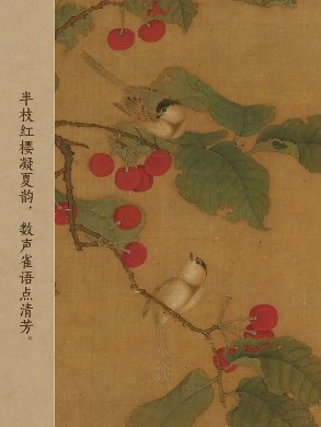 黄雀替我尝了夏天的味道
