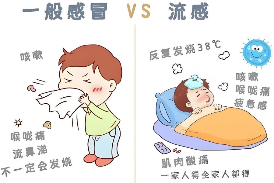 流感了？专家教你如何准确居家自测