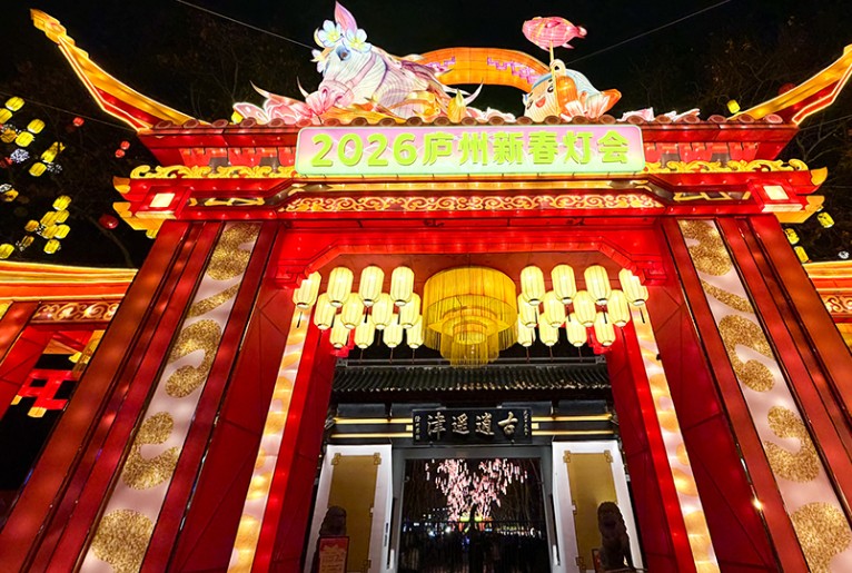 安徽合肥：人在灯中游 满目皆是春 第 2 张