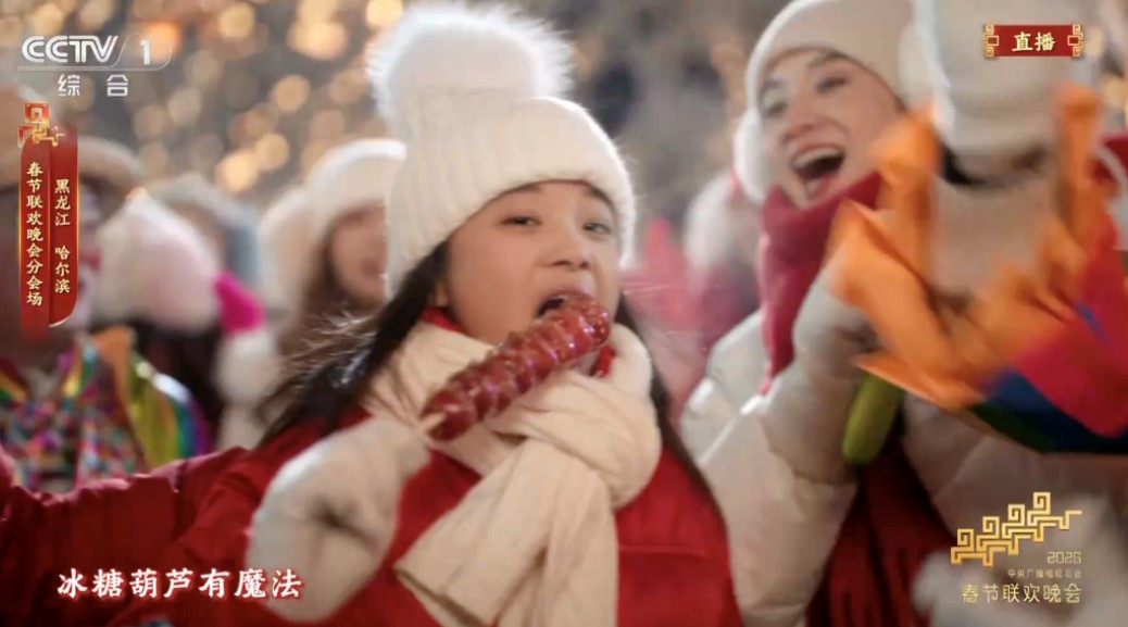 春晚后劲太大了！再一次爱上了哈尔滨 第 9 张