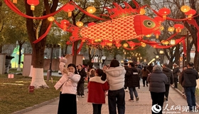 马跃荆楚年味浓 创新供给“全程皆精彩”